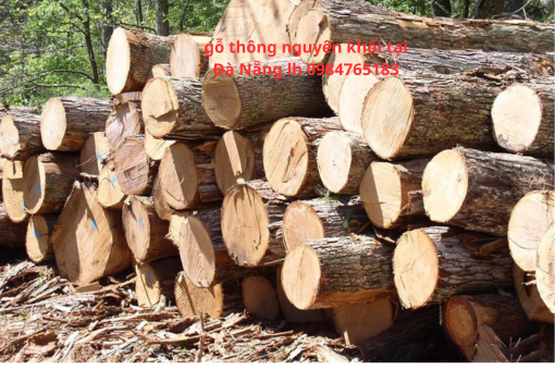 Mua Bán Gỗ Thông Nhập Khẩu Tại Đà Nẵng