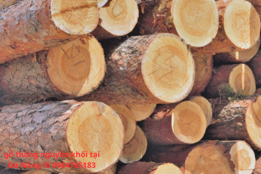 gỗ thông nguyên khối tại Đà Nẵng lh 0984765183